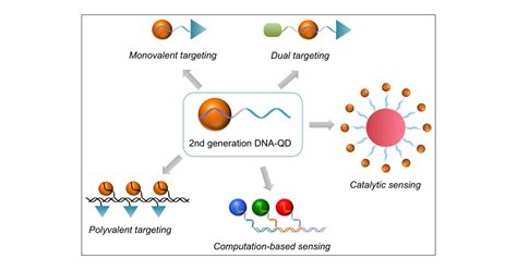 Quantum Dots per il sensore di immagine next-generation e la bioimaging avanzata!