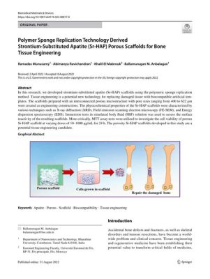  Scaffolding in Tissue Engineering:  Why Strontium-Substituted Hydroxyapatite Is Your New Best Friend!