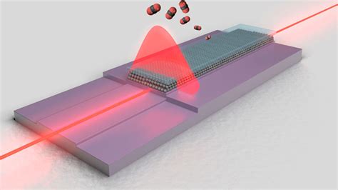 Kermesite Nanoparticle: Una rivoluzione nel campo delle batterie e dei sensori ottici?