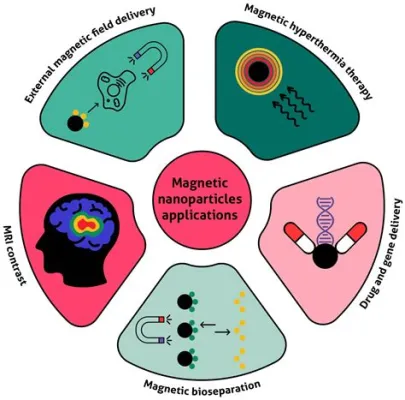  Magnetite Nanopowder: A Tiny Marvel for Magnetic Drug Delivery and Bioimaging Applications!